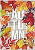 Hello Autumn Thanksgiving Card H8104KW-AA