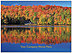 Thanksgiving Reflections Name Card D8112U-4B