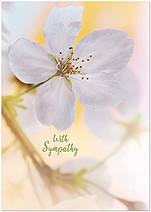 Sympathy Flower Greeting Card A9025KW-X