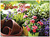 Welcome Floral Congrats Card D9051U-Y
