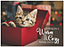 Cozy Kitten Holiday Card D9198U-A