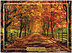 Memory Lane Thanksgiving Card H9083G-AAA