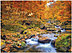 Autumn Brook Thanksgiving Card H1477U-AA
