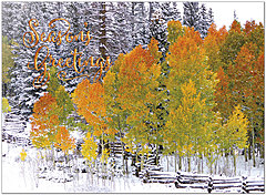 November Surprise Seasonal Card H1480U-AA