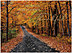 Thankful Path Thanksgiving Card H1679U-AA