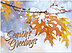 Autumn Magic Holiday Card H1680U-AA