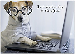 Custom Office Dog D2289D-V