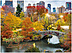 Fall in the City H2348U-AA