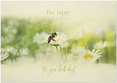 Bee Happy A2525KW-X