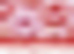 Sweet Valentines D2732U-Y