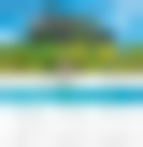 Tropical Paradise Calendar Card C2579U-AA