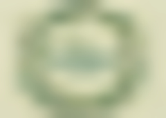 Organic Holidays H2839KW-AA