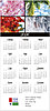 Seasons Premium Calendar Card C2994U-AAA