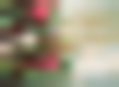 Holiday Decor G3325G-AAA