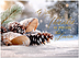Snowy Appreciation H3333U-AA