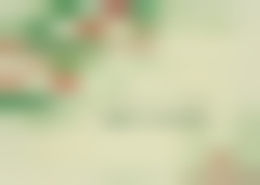 Holly Holidays H3337KW-AA