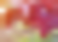 Time for Giving Thanks H2973U-AA