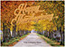 Happy Thanksgiving Name Card H2985U-4A