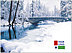 Winter Bridge Logo Card D1350U-4B