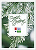 Glistening Branch Logo Card D1356U-4B