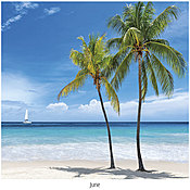 Scenic Beaches Wall Calendar DWM1426