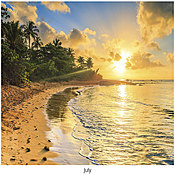 Scenic Beaches Wall Calendar DWM1426