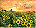 Scenic Seasons Wall Calendar DWP1126