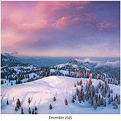 Scenic Seasons Wall Calendar DWM1026