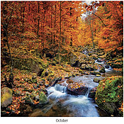 Scenic Seasons Wall Calendar DWM1026