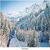 Scenic Seasons Wall Calendar DWM1026