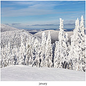 Scenic World Wall Calendar DWP1326