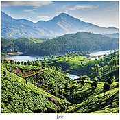 Scenic World Wall Calendar DWP1326